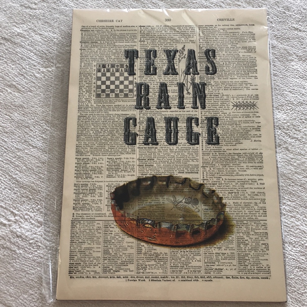 NWT Vintage Dictionary Art